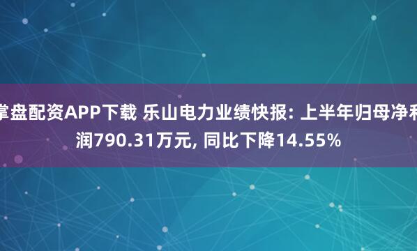 掌盘配资APP下载 乐山电力业绩快报: 上半年归母净利润790.31万元, 同比下降14.55%