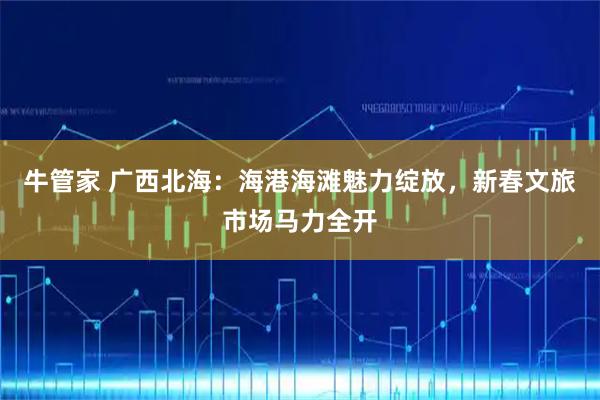 牛管家 广西北海:海港海滩魅力绽放,新春文旅市场马力全开