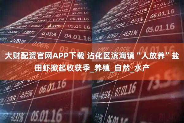 大财配资官网APP下载 沾化区滨海镇“人放养”盐田虾掀起收获季_养殖_自然_水产